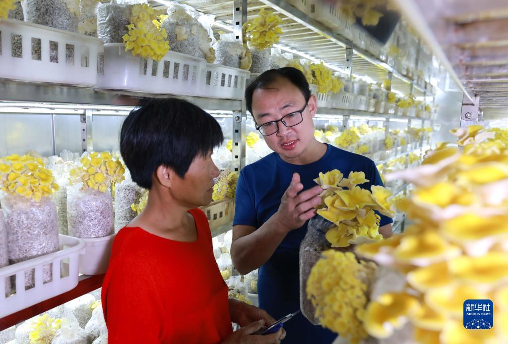 贝贝捕鱼注册送分